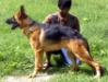 news of playmate