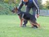 Fetch de la vallée de la garde