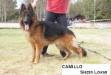 Camillo Slezin Lovan