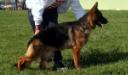 Debie von Petworld