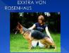 Exxtra von Rosenhaus