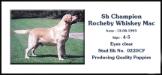 SH CH. Rocheby Whiskey Mac