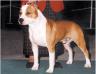 W.W. BOB 2001 CH De Paco XZ Red Rascal