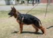 NARA THE JOMARGUELL