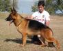 Hetoo The Jomarguell