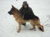 Brick vd Luisenthal