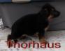 THORHAUS RANDA