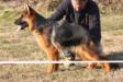 Xena il Mercabah