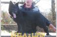 Stela z Lipin