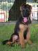 Schalk De Valdellera