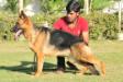 Nishan's Riska