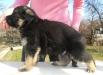 List aus Garten Grand Gambit