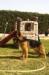 Hilda kuwait k9-team