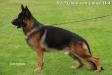 Ghost von United Hof