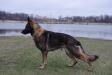 Bourne Spencer von Granville