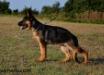 Rocco von Olympos