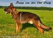 Zoran von der Old Lady