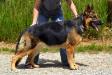 Ablaise vom Heinolf