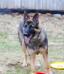 Ash vom Heinolf
