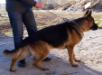 Esco Von Tunİ