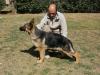 Brandy Von Rassehund