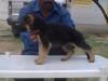 nishan's sweety