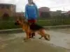 Tabata aus Bolivien