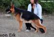 Sances von Erk