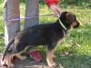 Greyson Oger Schloss