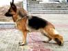 De Orse Mak Flai Leonarda