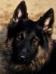 Lilly Von Fronleichnam Landes