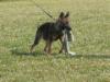 Keeper von der Earnhardt