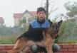 Inova vom Lam Son
