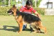 NISHAN`S REIA