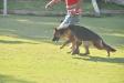 NISHAN`S REMA