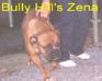  Bully Hill's Zeena