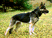 Cilly von der Gertelbach