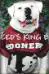  Reed's King Bo of Sooners Kennel