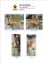 MANALO K9's Jumper