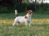 CAC INVERBRAE Capricorn Lady