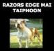  Razors Edge Mai Taiphoon