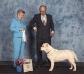Ironridge's Miss Atti Tude