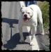 OVB's Daisy D