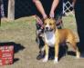 MEX/CAN/PR/AKC CH Fairlawn's Karumba