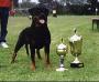 IFR WORLD CHAMPION Nikita de la Corte Canina