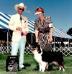 AKC CH Thornapple Hot Country Jam