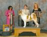 AKC GCH Libertys Zest For Life