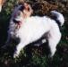  Dotti's Girl