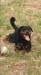 Gina Nine Rott