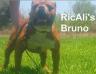  RicAli's Bruno